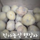 진가농산 햇감자 밥반찬부터 간식까지 다양하게 즐긴 찐 사용 후기