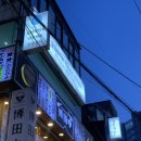 옵틱라이프 이미지