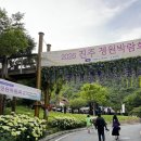 숲속의 정원 | 월아산 숲속의 진주 수국정원 후기, 진주 수국 명소