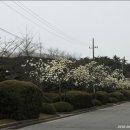 대학교 익산캠퍼스 이미지