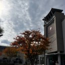 더 느리게 | 김해 봉리단길 독채 숙소 느리게 머물다, 봉황 후기 | 김해 1박 2일 여행 코스