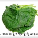 곰취장아찌 만드는법 만들기 맛있는 장아찌간장 비율 봄철 향긋한 곰취나물요리 이미지