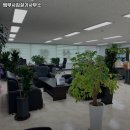 김철기법무사사무소