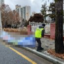 오로지 이미지