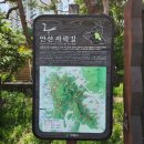 2024년 5월 산행공고 "안산둘레길" 이미지