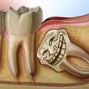 올소치과의원 이미지