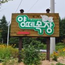 풍전목장 이미지