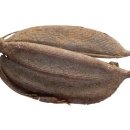 일산4리 이미지