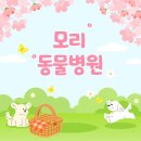 모리동물병원 | 고양시 모리동물병원 일상 | 예방접종하고 간 귀여운 강아지들🐶