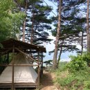 숲의하루 이미지