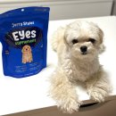 아이즈동물병원 이미지