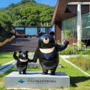 산내면 반선마을 이미지