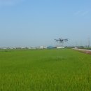 춘포면-13 이미지