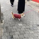 국제광천수온천 앞 이미지