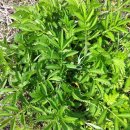 선학초등학교 이미지