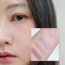 855 | [공지] 디올 아이섀도우 추천 | 디올쇼 5 꿀뢰르 855 로즈 무아레 발색 후기