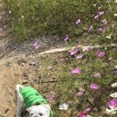 충장로 | 미도인 충장로 다녀온 후기