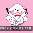 멍미살롱 이미지