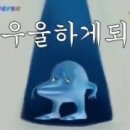 버블가이 Daum카페