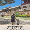 세계문화유산인문학 | 경주 문화재 불국사 아이랑 세계문화유산 방문후기