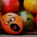 지성노인요양센터 이미지