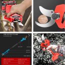 용탱자 묘목 이미지