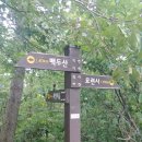 괴정2 | 김해백두산외