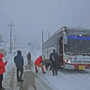 3 - 1 겨울동화 평창 발왕산 케이블카 타고 즐기기 이미지