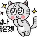 디미아뷰티 이미지