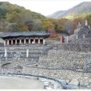 명인여행 Daum카페