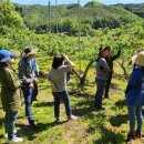 영동군 지체장애인협회 이미지