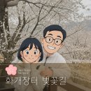 화개중학교 | 하동 화개장터 벚꽃길 만개! 2025 실시간 후기｜벚꽃축제 취소돼도 조용히 걷기 좋은 벚꽃 명소