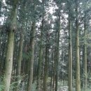 장생목장 이미지