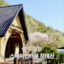 장태산의아침 | 대전 스테이인터뷰 장태산 감성숙소 자쿠지 숙박기