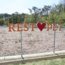 레스트펫 이미지