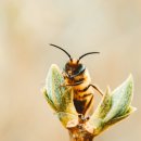 자연농장 이미지