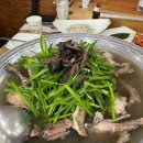 역고개농장 | (합정역맛집) 가까이서 맛볼 수 있는 오리백숙맛집 마포오리농장