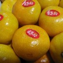 함초롬농원 이미지