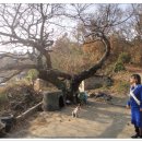 고들재로 이미지