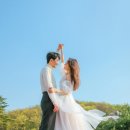 루시드랩