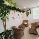 씨엘로펫 이미지