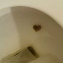 사랑해사랑해 Daum카페