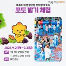 송산손세차장 네이버블로그