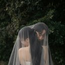 베스트헤어박미주 | 제주 웨딩 스냅 기무스냅 솔직후기｜촬영 장소부터 수정본까지 공개 + 맑은 날·비 오는 날 촬영 후기