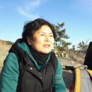 낭만 태양광발전소 이미지