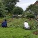 평화양로원 이미지