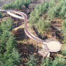 무궁화수목원 이미지