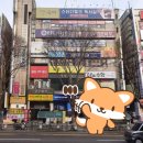 로얄편백쑥사우나 | 판교 로얄편백쑥여성사우나 찜질방 정보