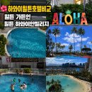 홀로마켓 - 중랑구 | 하와이 힐튼 호텔 비교 ㅣ힐튼 가든인 vs 힐튼 하와이안 빌리지, 가족 여행 숙소 추천