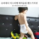 미스터팽